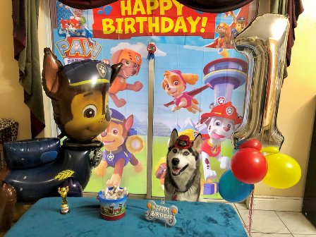 paw patrol party planner